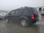 2013 Honda Pilot EXL