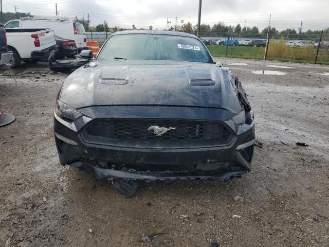 2019 Ford Mustang