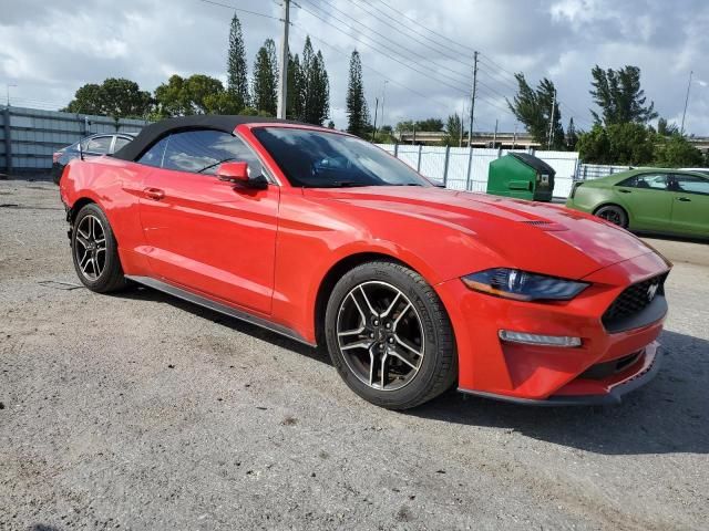 2019 Ford Mustang