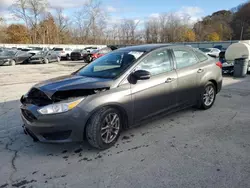 Ford Vehiculos salvage en venta: 2016 Ford Focus SE