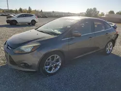 Salvage cars for sale at Mentone, CA auction: 2013 Ford Focus Titanium