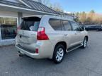 2010 Lexus GX 460