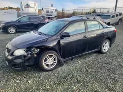 Toyota Corolla Vehiculos salvage en venta: 2009 Toyota Corolla Base