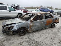 Salvage cars for sale at Walton, KY auction: 2003 Honda Accord LX