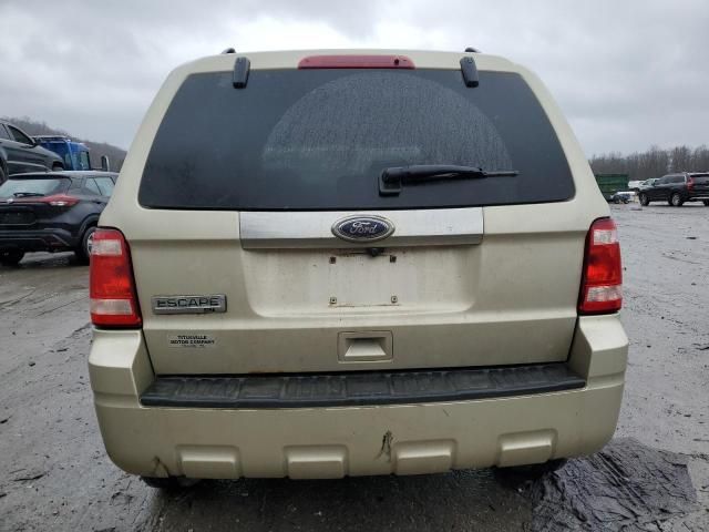 2011 Ford Escape XLT