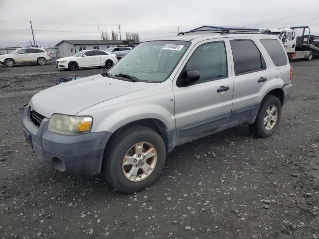 2005 Ford Escape XLT