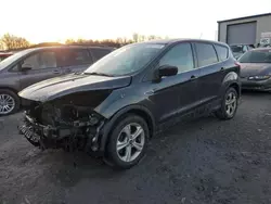 Ford salvage cars for sale: 2015 Ford Escape SE