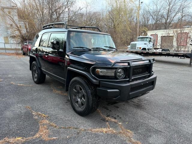 2007 Toyota FJ Cruiser