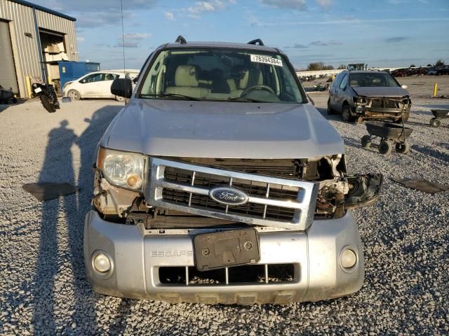 2009 Ford Escape XLT