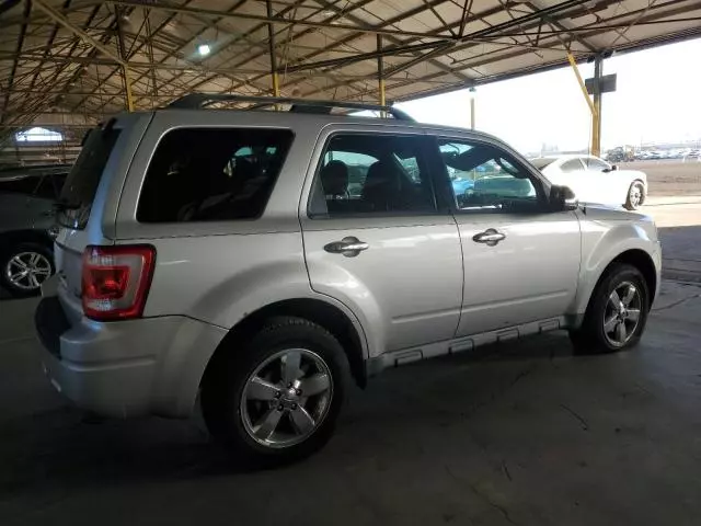 2010 Ford Escape Limited