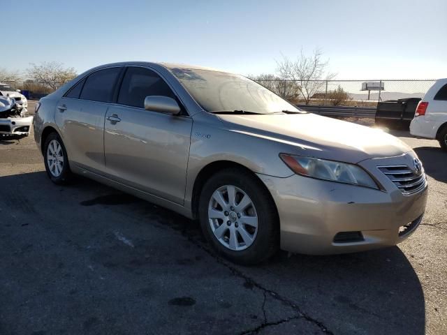 2007 Toyota Camry Hybrid