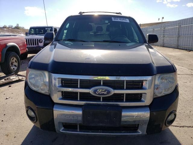 2010 Ford Escape Limited