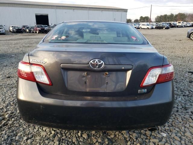 2009 Toyota Camry Hybrid