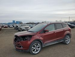 Ford Escape salvage cars for sale: 2016 Ford Escape Titanium