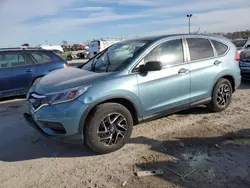 Salvage cars for sale at Indianapolis, IN auction: 2016 Honda CR-V SE