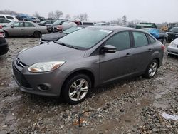 Ford salvage cars for sale: 2014 Ford Focus SE