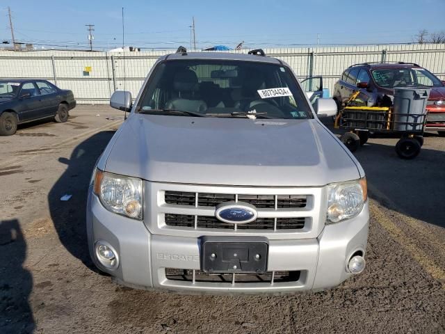 2008 Ford Escape Limited