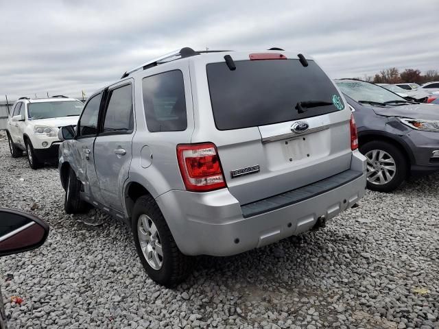 2009 Ford Escape Limited