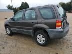 2007 Ford Escape XLS