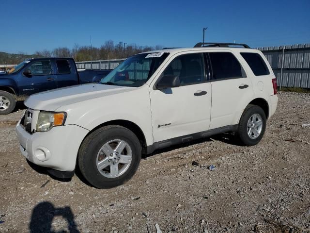 2009 Ford Escape Hybrid