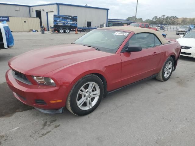 2011 Ford Mustang