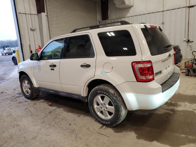 2012 Ford Escape XLT