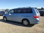 2006 Honda Odyssey EXL