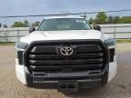 2023 Toyota Tundra Crewmax SR