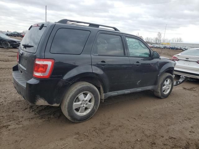 2010 Ford Escape XLT