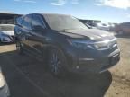 2019 Honda Pilot EXL