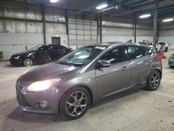 Ford Focus salvage cars for sale: 2014 Ford Focus SE