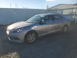 Hyundai salvage cars for sale: 2015 Hyundai Sonata SE