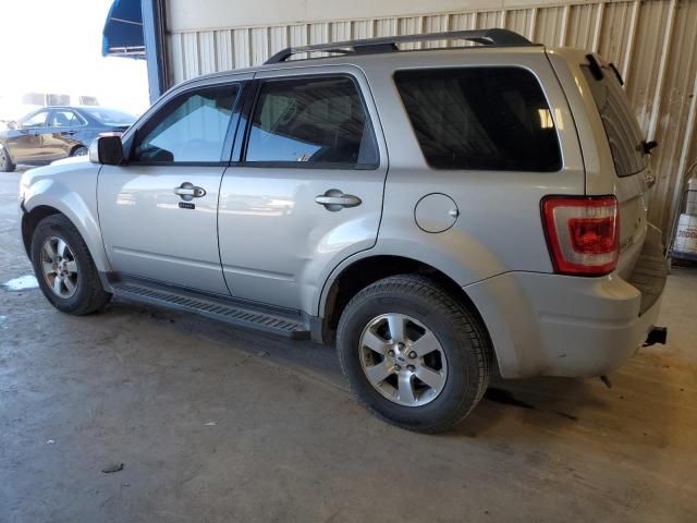 2009 Ford Escape Limited