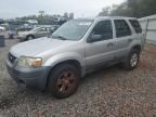 2007 Ford Escape XLT