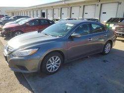 Vehiculos salvage en venta de Copart Louisville, KY: 2018 Nissan Altima 2.5