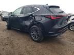 2024 Lexus NX 350 Base