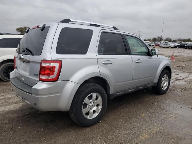 2012 Ford Escape Limited