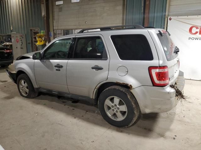 2010 Ford Escape XLT