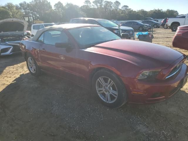 2014 Ford Mustang