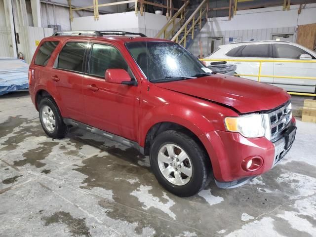 2011 Ford Escape Limited