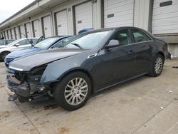 Cadillac salvage cars for sale: 2013 Cadillac CTS Luxury Collection