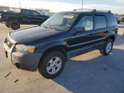 2007 Ford Escape XLT en venta en Grand Prairie, TX