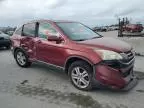 2010 Honda CR-V EXL