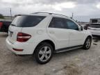 2010 Mercedes-Benz ML 350 4matic