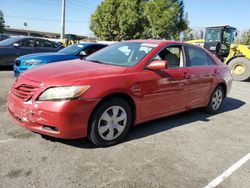 Toyota Vehiculos salvage en venta: 2008 Toyota Camry CE