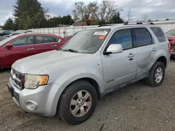 Salvage cars for sale at Finksburg, MD auction: 2008 Ford Escape Limited