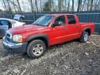 2005 Dodge Dakota Quad SLT