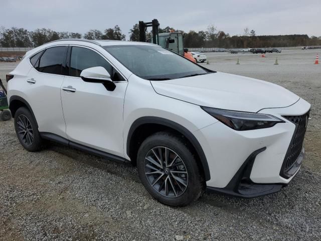 2025 Lexus NX 250 Premium