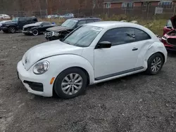 Salvage cars for sale at Baltimore, MD auction: 2018 Volkswagen Beetle S