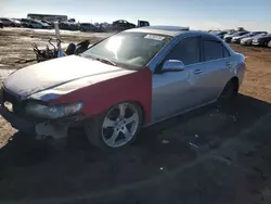 Salvage cars for sale at Brighton, CO auction: 2005 Acura TSX